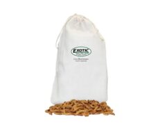 Nutrition Live Mealworms